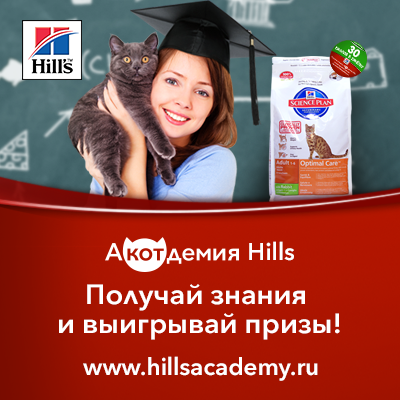 Акотдемия Хиллс