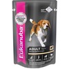  Eukanuba ()  