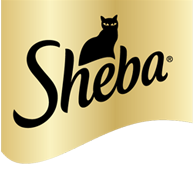 Sheba