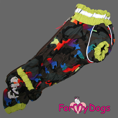 ForMyDogs    /  (,  1)