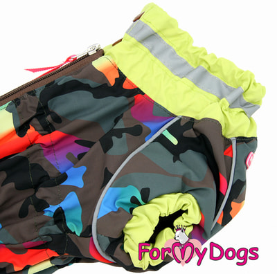 ForMyDogs    /  (,  3)
