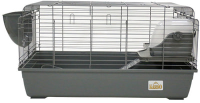 Kredo    ,  (,  2)