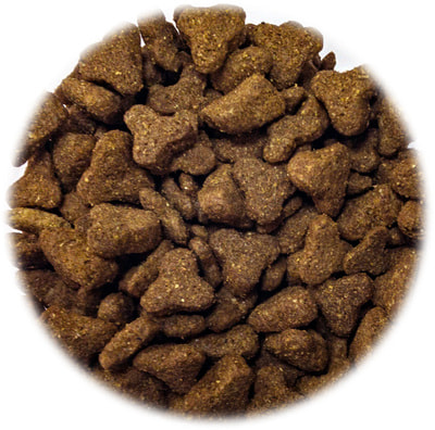 Сухой корм Dog Club Sun Hypoallergenic на рыбной основе для взрослых собак всех пород (фото, вид 3)