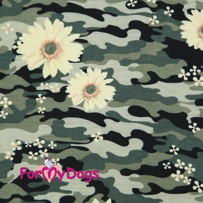 ForMyDogs       (,  1)