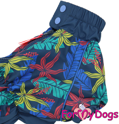 ForMyDogs         (,  1)