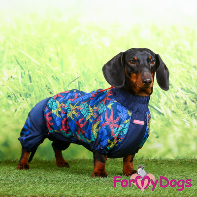 ForMyDogs         (,  2)