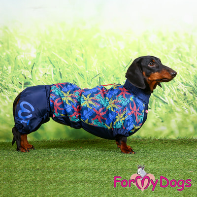 ForMyDogs         (,  3)