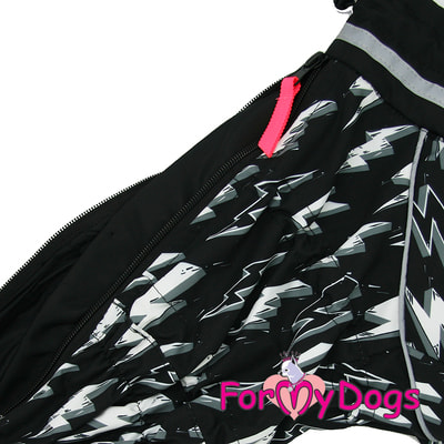 ForMyDogs     ,    (,  2)