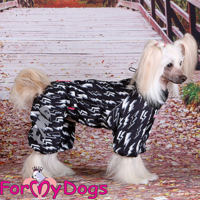 ForMyDogs     ,    (,  4)