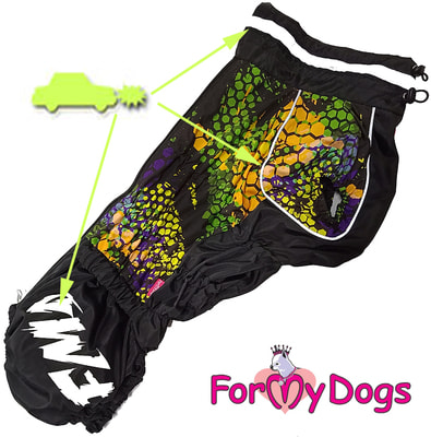 ForMyDogs       (,  1)