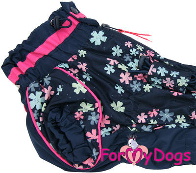 ForMyDogs         (,  3)