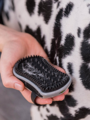Furminator   Curry Comb  5  (,  5)