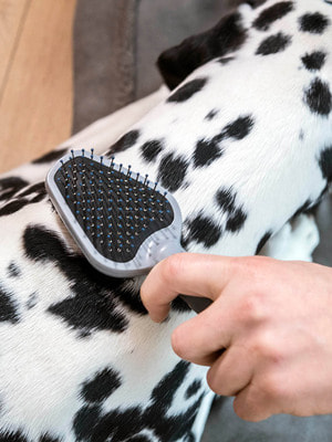 Furminator   Dual Brush (,  5)