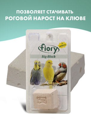 FIORY -   Big-Block   (,  4)