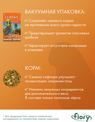 FIORY     Classic (,  1)