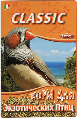 FIORY     Classic (,  3)
