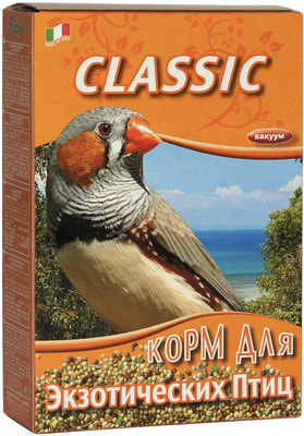 FIORY     Classic (,  6)