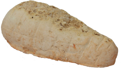 FIORY CARROSALT -      (,  3)