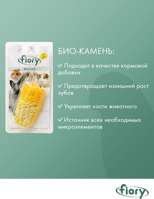 FIORY MAISALT -      (,  1)