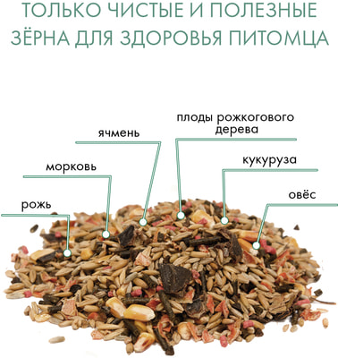 FIORY Indy корм для морских свинок и шиншилл (фото, вид 2)