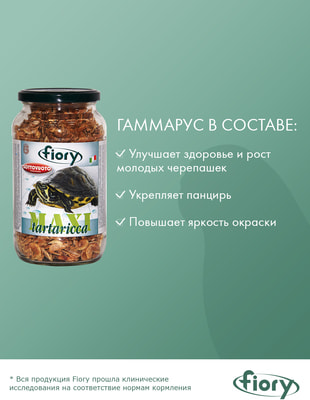 FIORY     Maxi Tartaricca (,  1)