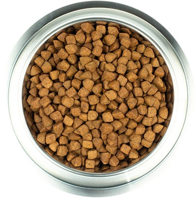   CORE Puppy Original Large Breed       (,  5)