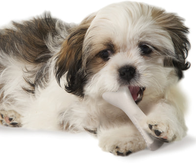 Petstages    Deerhorn,    (,  1)