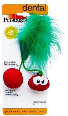 Petstages    Dental     (,  2)