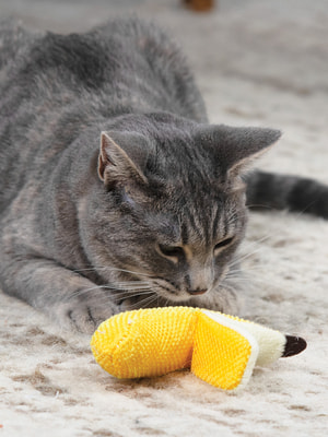 Petstages Игрушка для кошек Dental Банан (фото, вид 2)