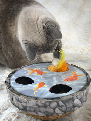 Petstages     Hide + Seek  (,  3)