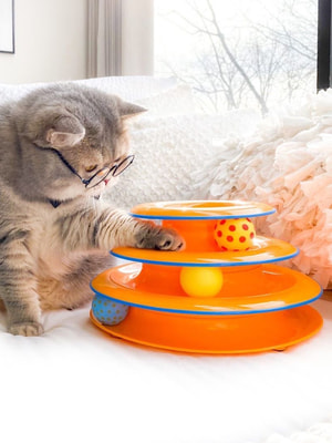 Petstages    3  (,  2)
