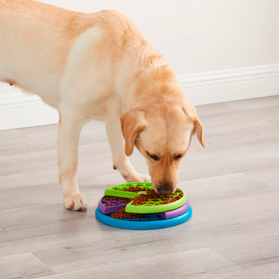 Nina Ottosson Игра-головоломка Lickin'Layers для собак для медленного поедания (фото, вид 1)