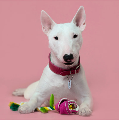 Mr.Kranch Игрушка для собак мелких и средних пород Роза с канатом, розовая (фото, вид 3)