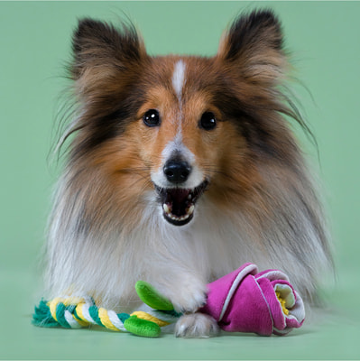 Mr.Kranch Игрушка для собак мелких и средних пород Роза с канатом, розовая (фото, вид 5)