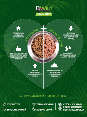 Monge Cat BWild GRAIN FREE паучи из мяса дикого кабана с овощами для стерилизованных кошек (вид 6) Monge Cat BWild GRAIN FREE паучи из мяса дикого кабана с овощами для стерилизованных кошек (фото, вид 6)