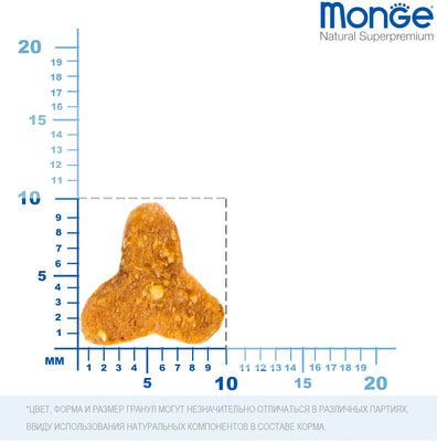 Monge Cat      (,  9)