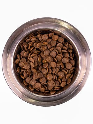   Monge Dog Speciality Puppy&Junior        (,  6)
