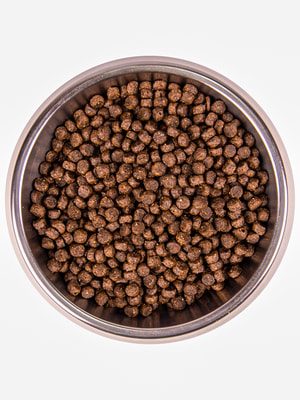 Monge Dog Speciality Extra Small ���� ��� ����� ������. ����� ������� � ����� � ���������� (����, ��� 7)