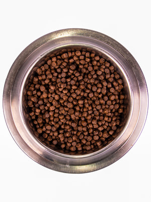 Monge Dog Mini Starter      (,  7)
