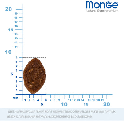   Monge Bwild Cat Hare        (,  9)