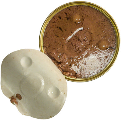 Rush Pet Food       (,  1)