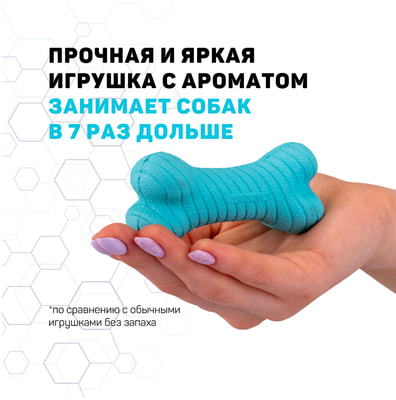 Playology    DUAL LAYER BONE   ,  (,  1)