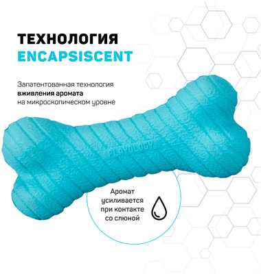 Playology    DUAL LAYER BONE   ,  (,  3)