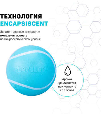 Playology ��������� ����������� ��� SQUEAKY CHEW BALL � �������� � � �������� �������, ������� (����, ��� 1)
