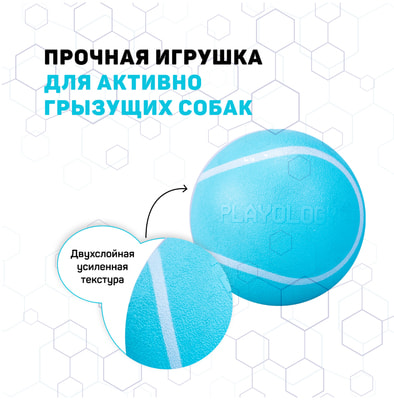 Playology ��������� ����������� ��� SQUEAKY CHEW BALL � �������� � � �������� �������, ������� (����, ��� 3)