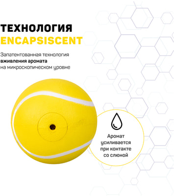 Playology ��������� ����������� ��� SQUEAKY CHEW BALL � �������� � � �������� ������, ������ (����, ��� 1)