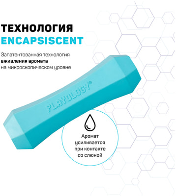 Playology    SQUEAKY CHEW STICK   ,  (,  1)