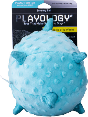 Playology Сенсорный плюшевый мяч для щенков PUPPY SENSORY BALL с ароматом арахиса, голубой (вид 6) Playology Сенсорный плюшевый мяч для щенков PUPPY SENSORY BALL с ароматом арахиса, голубой (фото, вид 6)