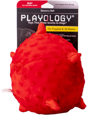 Playology ��������� �������� ��� ��� ������ PUPPY SENSORY BALL � �������� ��������, ������� (����, ��� 5)
