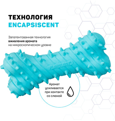 Playology       PUPPY TEETHING BONE    (,  1)